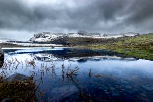 Alexandre ROSSINI - ROSSINI
