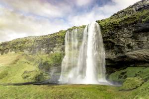Alexandre ROSSINI - ROSSINI