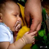 Caroline CARPENTIER - CAROLINE CARPENTIER PHOTOGRAPHIE